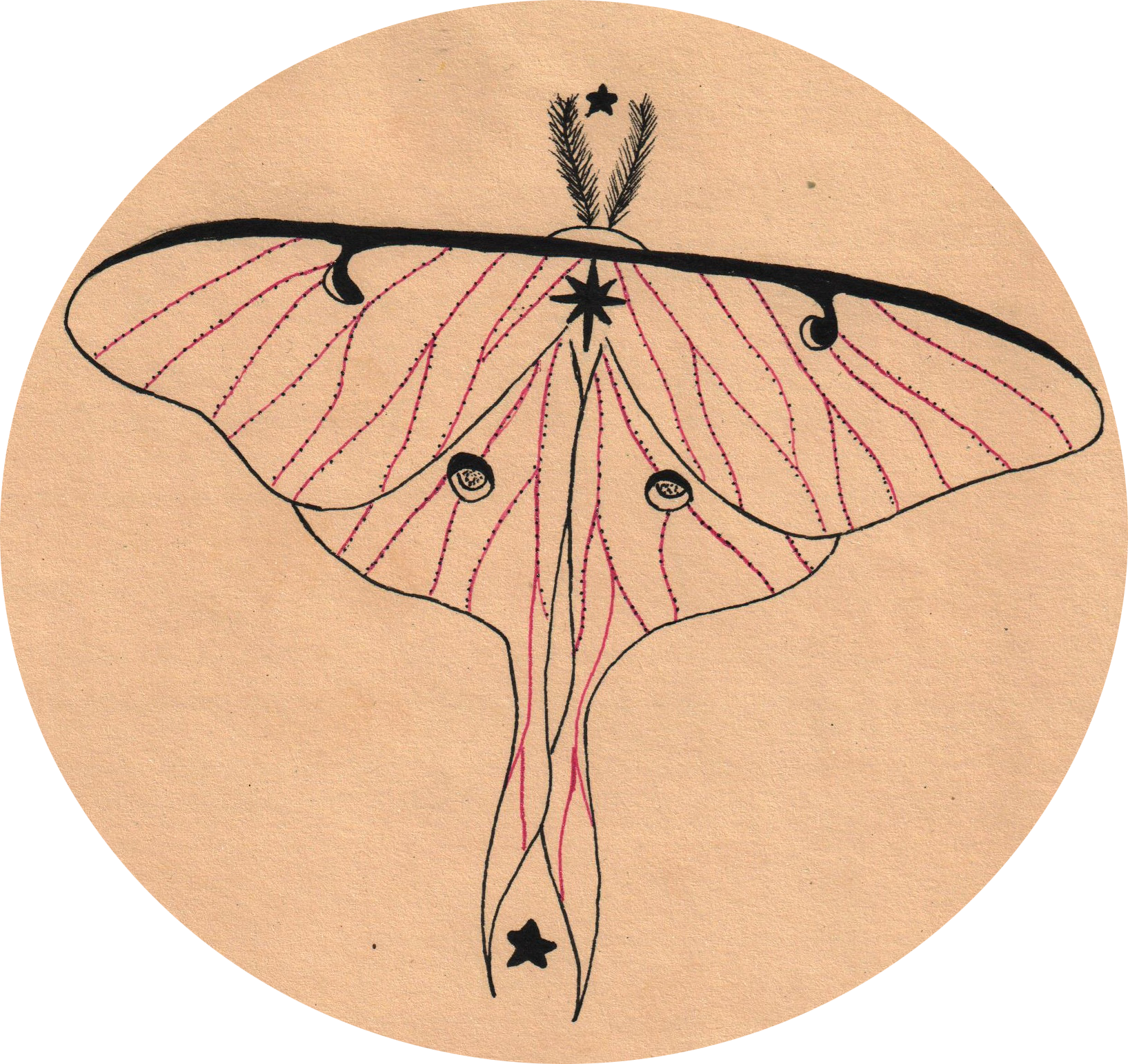 Anna Dufková project